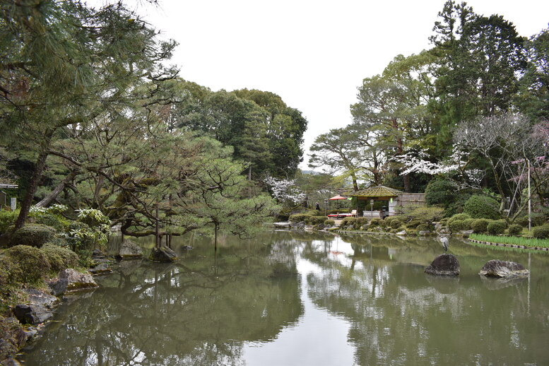 春の京都の名所観光_平安神宮神苑_中神苑の蒼龍池