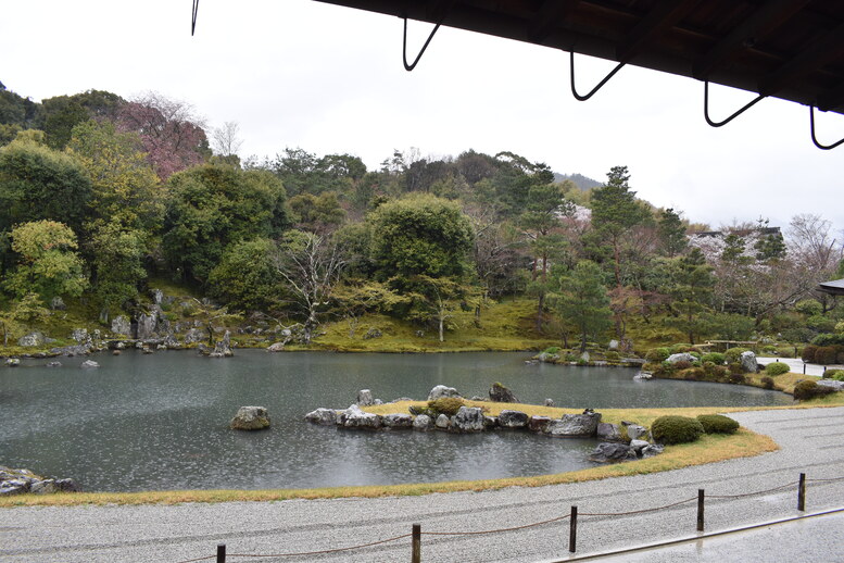 春の京都の見どころ_嵐山の名所_天龍寺の桜_曹源池庭園