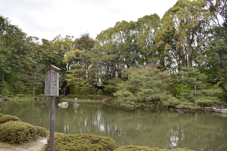 春の京都の名所観光_平安神宮神苑_中神苑の蒼龍池