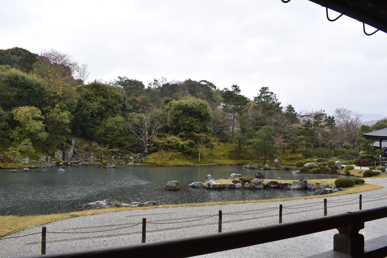 春の京都の見どころ_嵐山の名所_天龍寺の桜_曹源池庭園