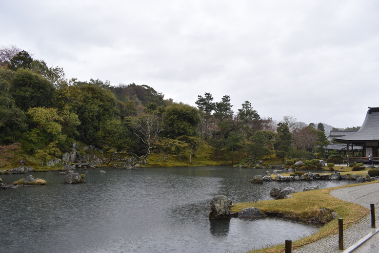 春の京都の見どころ_嵐山の名所_天龍寺の桜_曹源池庭園