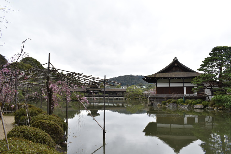 春の京都の名所観光_平安神宮神苑_東神苑の栖鳳池と泰平閣