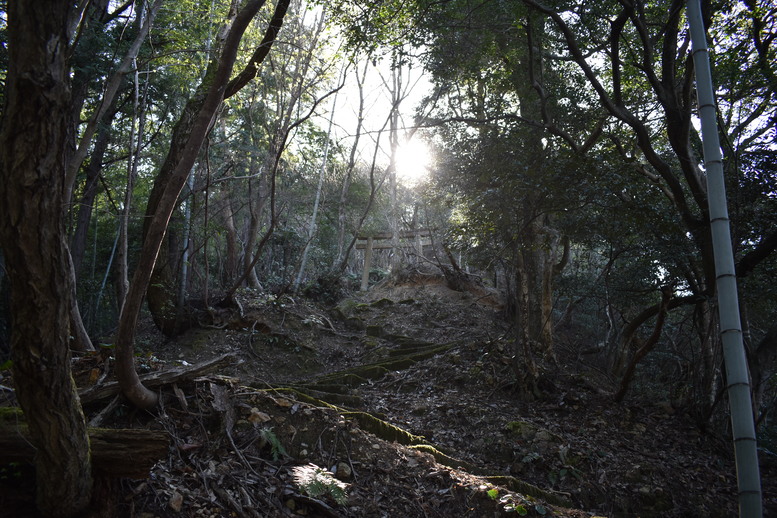 城崎温泉の風景_温泉街の自然_トレッキング