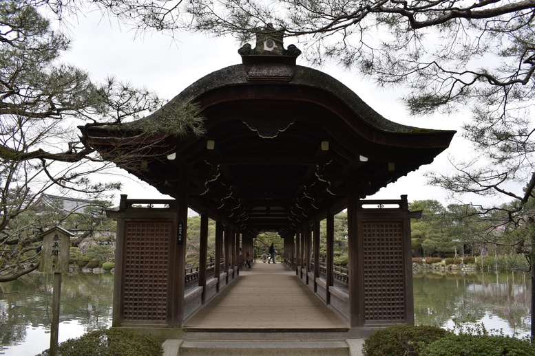 春の京都の名所観光_平安神宮神苑_東神苑の栖鳳池_中国の庭園風