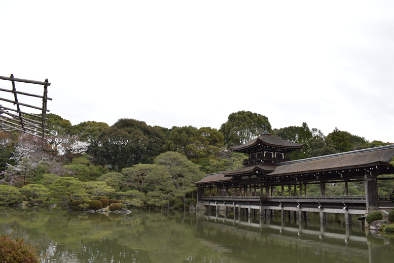 春の京都の名所観光_平安神宮神苑_東神苑の栖鳳池と泰平閣