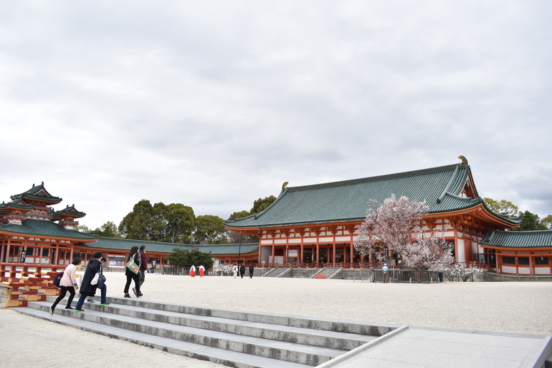 春の京都の名所観光_平安神宮_大極殿と桜