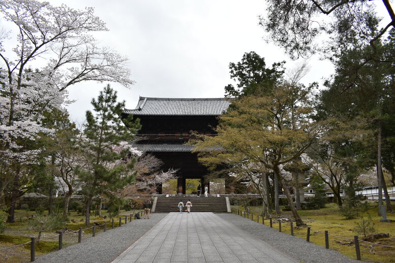 春の京都の名所観光_南禅寺_三門と桜