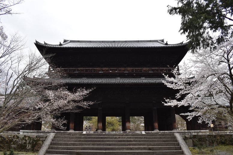 春の京都の名所観光_南禅寺_三門と桜