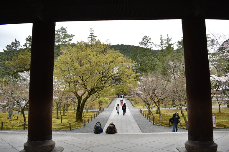 春の京都の名所観光_南禅寺_三門と境内と桜