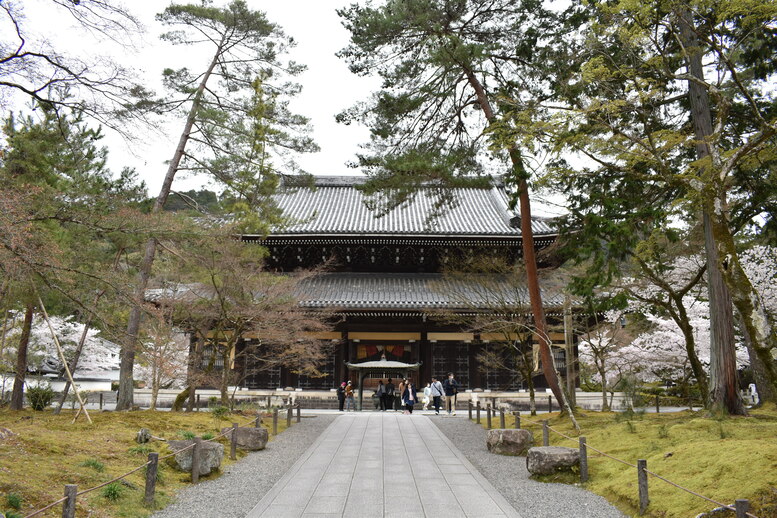 春の京都の名所観光_南禅寺_法堂と桜