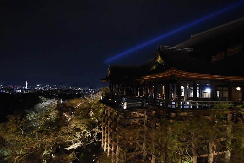 春の京都の名所観光_清水寺とライトアップ夜桜