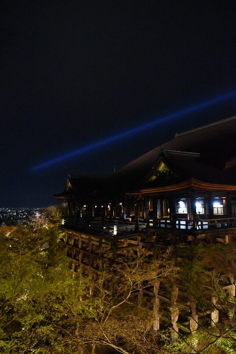 春の京都の名所観光_清水寺とライトアップ夜桜