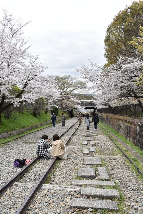 春の京都の名所観光_蹴上インクライン_桜の見どころ_着物のフォトスポット