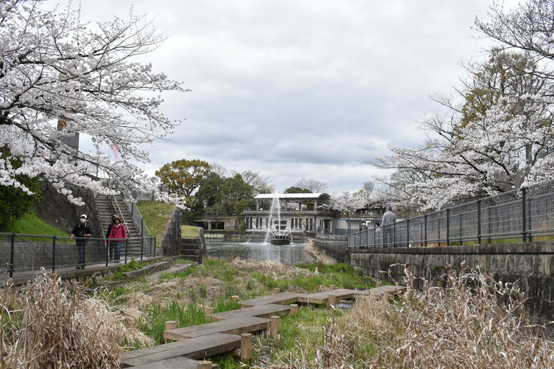 春の京都の名所観光_蹴上インクライン_桜の見どころ_着物のフォトスポット