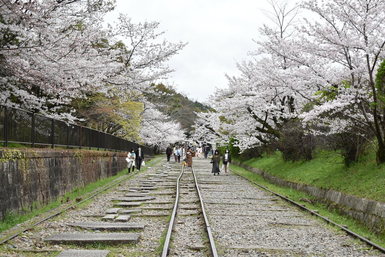 春の京都の名所観光_蹴上インクライン_桜の見どころ_着物のフォトスポット