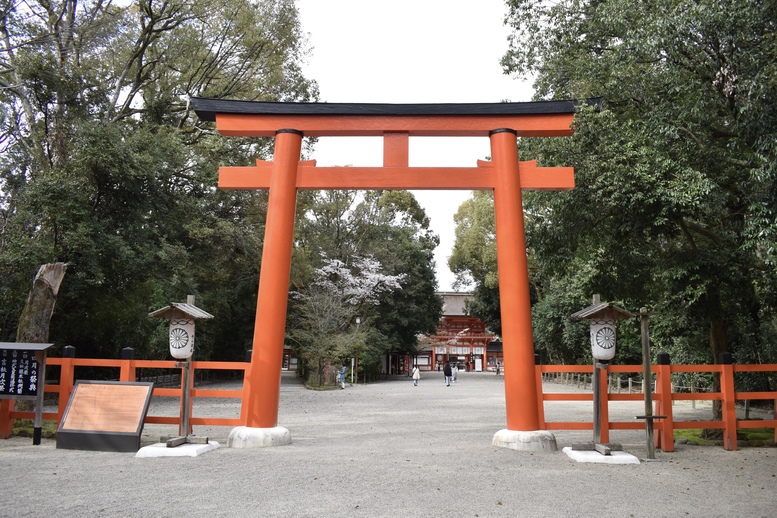 春の京都の見どころ_下鴨神社の桜_楼門と鳥居