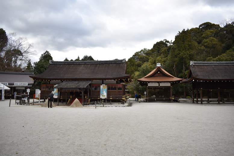 春の京都の見どころ_上賀茂神社_桜の名所