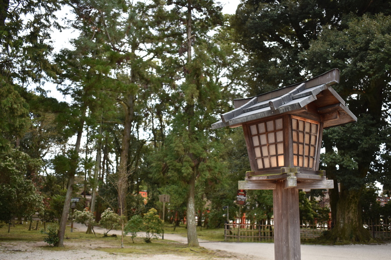 春の京都の見どころ_上賀茂神社_桜の名所