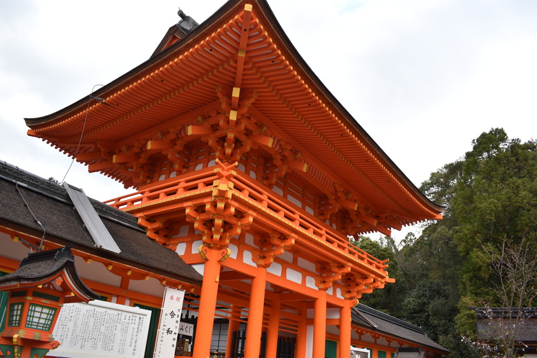 春の京都の見どころ_上賀茂神社_楼門と桜