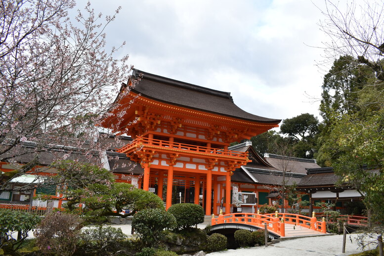 春の京都の見どころ_上賀茂神社_楼門と桜