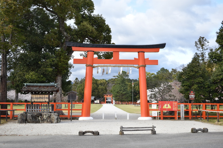 春の京都の見どころ_上賀茂神社_桜の名所観光