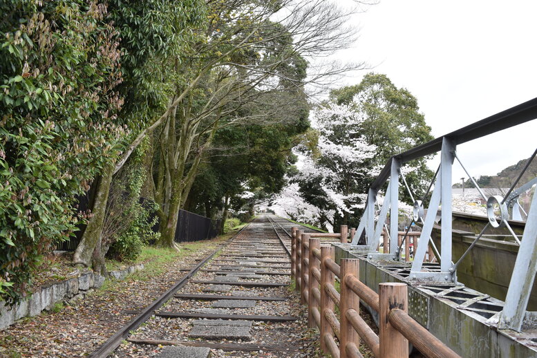 春の京都の名所観光_蹴上インクライン_桜の見どころ_インスタ映えなフォトスポット