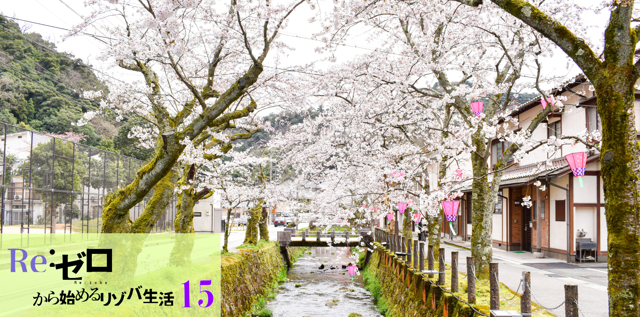 Reゼロからはじめるリゾバ生活_城崎温泉15_春の桜_感想と振り返り