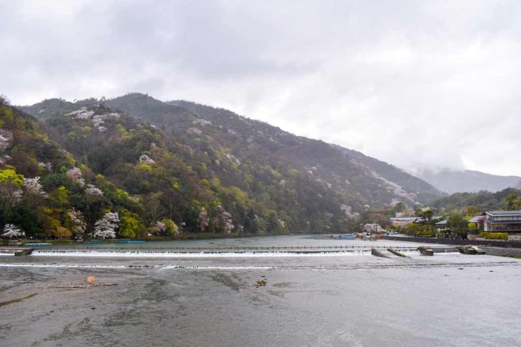 春の京都の見どころ_嵐山の桜_渡月橋