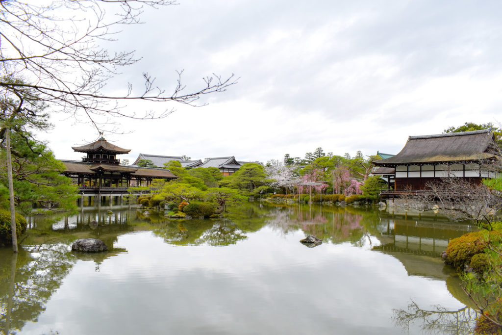 春の京都の名所観光_平安神宮神苑の桜