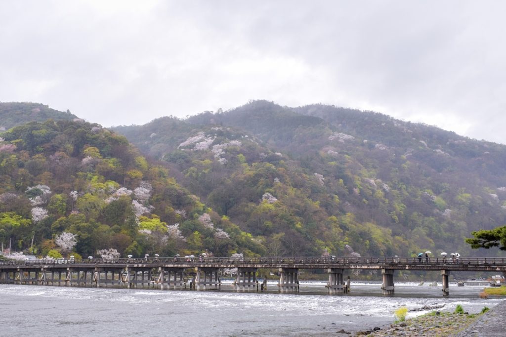 春の京都の見どころ_嵐山の桜_渡月橋