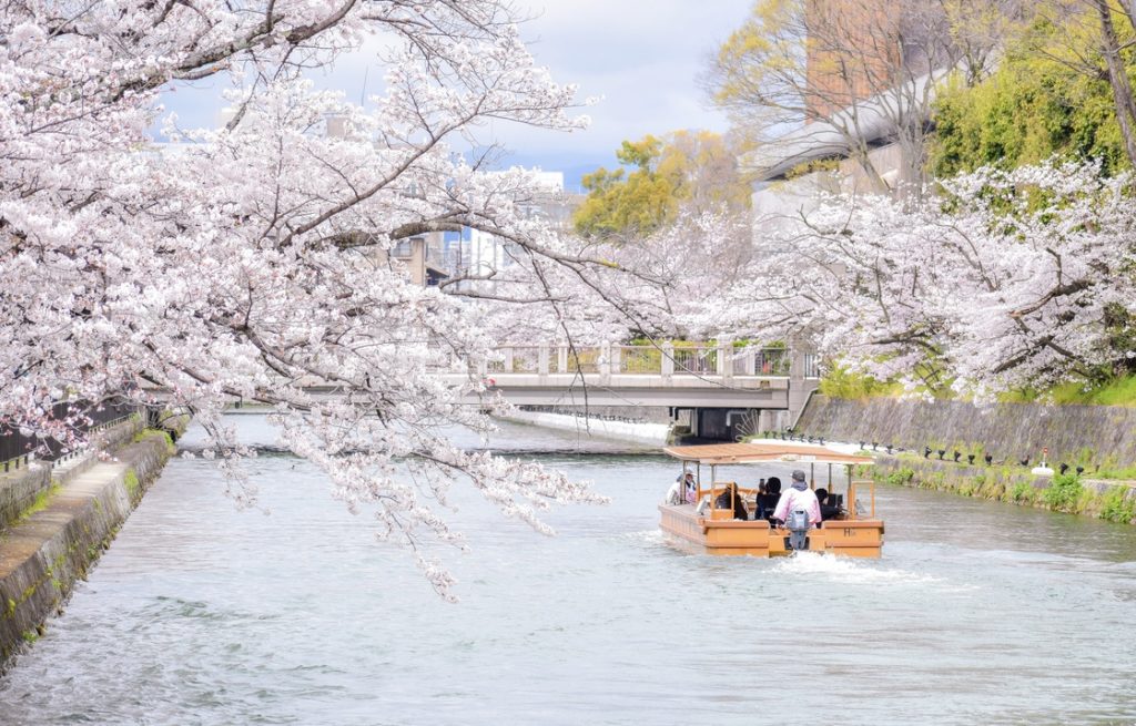 春の京都の名所観光_岡崎疏水と桜並木