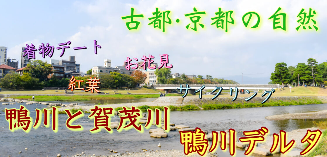 一味違う京都観光 鴨川 鴨川デルタでヒーリング 疲れているあたなにオススメしたい自然の癒し 旅狼 たびろう どっとこむ 一味違う京都観光 鴨川 鴨川デルタでヒーリング 疲れているあたなにオススメしたい自然の癒し 旅狼 たびろう どっとこむ