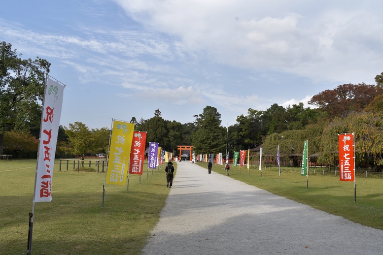 賀茂川サイクリング_古都・京都の自然と上賀茂神社