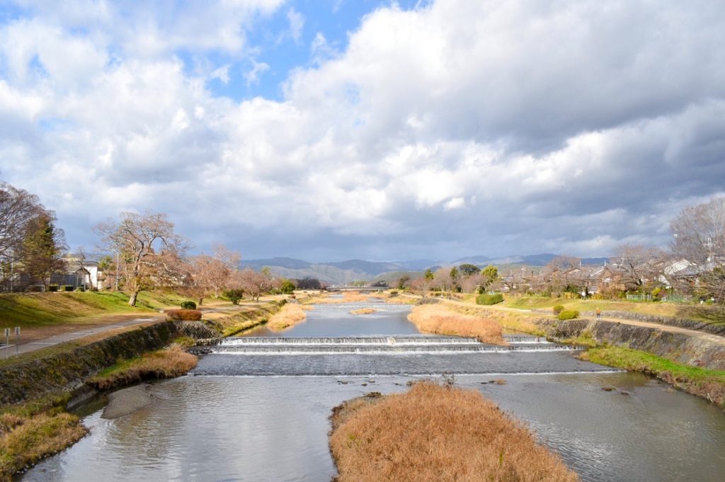 古都・京都の冬の自然_鴨川と賀茂川