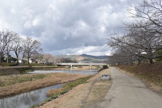 古都・京都の冬の自然_鴨川と賀茂川