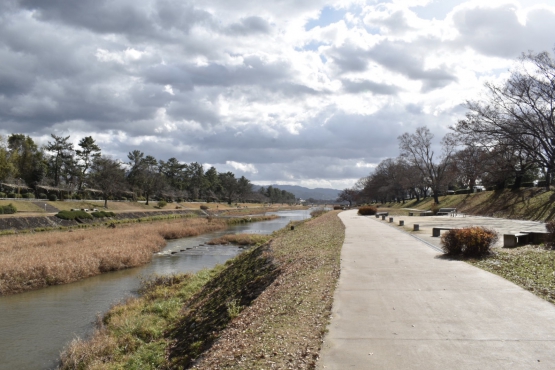 古都・京都の冬の自然_鴨川と賀茂川