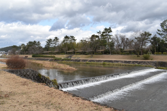 古都・京都の冬の自然_鴨川と賀茂川