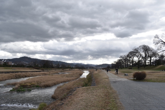 古都・京都の冬の自然_鴨川と賀茂川