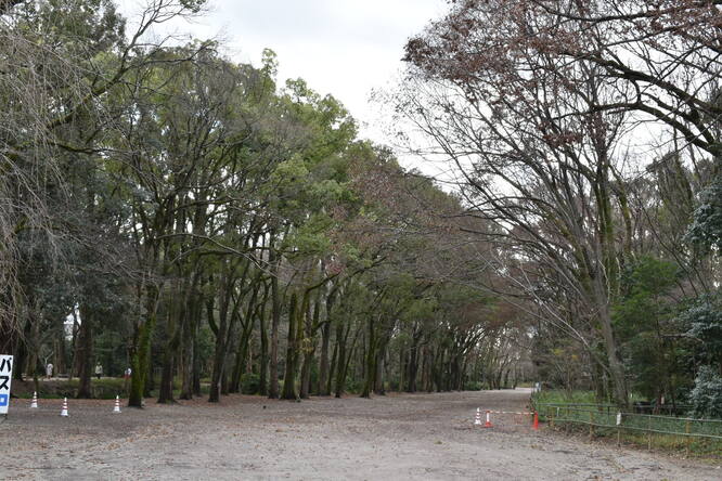 下鴨神社・糺の森と流鏑馬の馬場