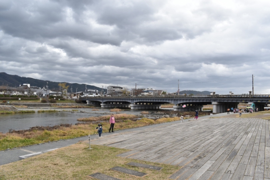 古都・京都の冬の自然_鴨川デルタ