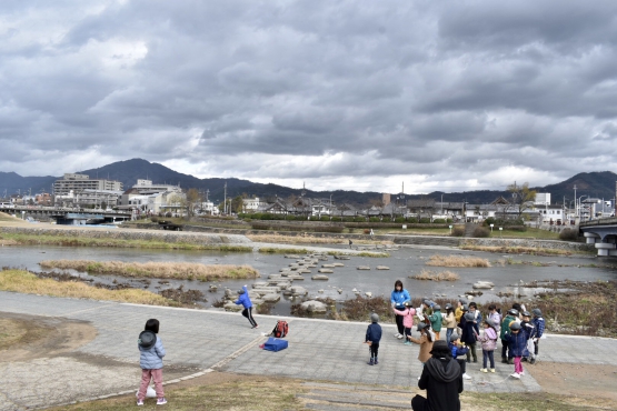 古都・京都の冬の自然_鴨川デルタ