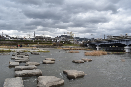 古都・京都の冬の自然_鴨川デルタ