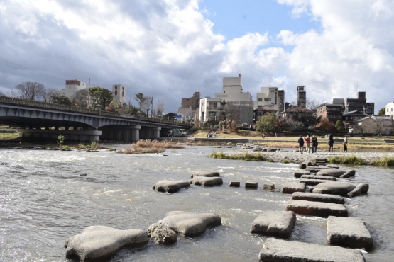 古都・京都の冬の自然_鴨川デルタ