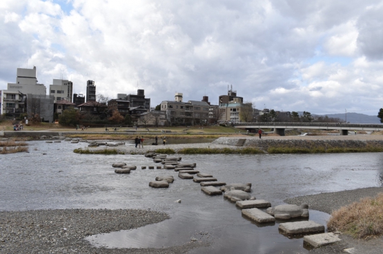 古都・京都の冬の自然_鴨川デルタ