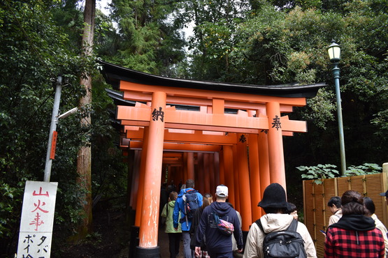 伏見稲荷大社_お山めぐりと千本鳥居