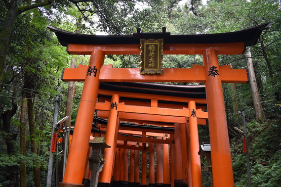 伏見稲荷大社_お山めぐりと千本鳥居