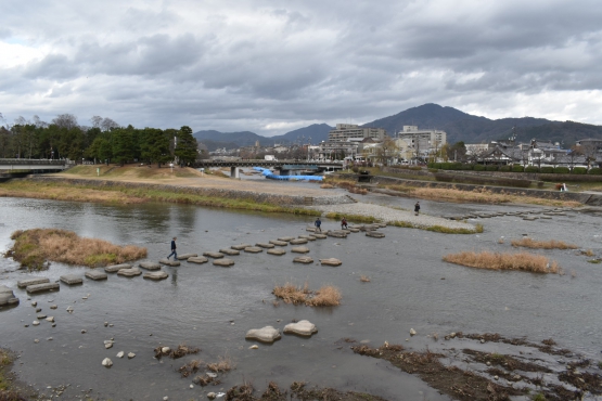 古都・京都の冬の自然_鴨川デルタ