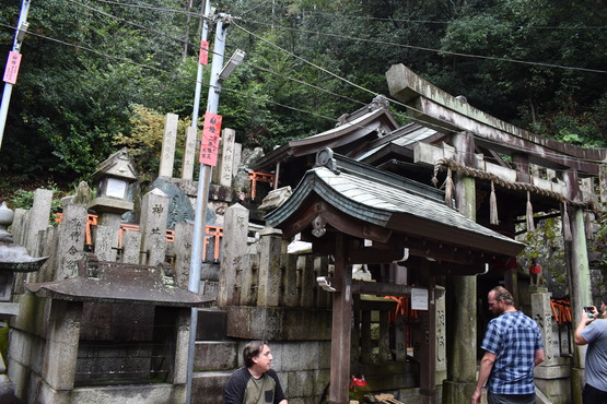 伏見稲荷大社_お山めぐりと千本鳥居