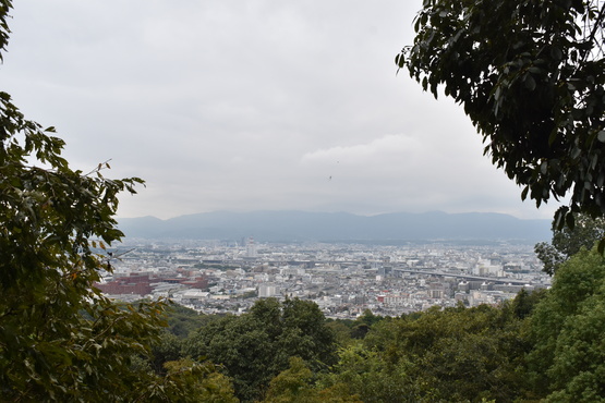 伏見稲荷大社_お山めぐりと千本鳥居