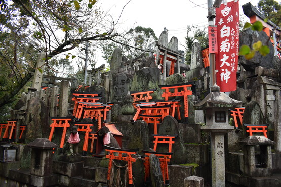 伏見稲荷大社_お山めぐりと三ノ峰